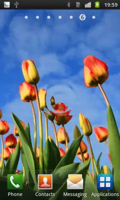 Flowers Reflection Free android App screenshot 2