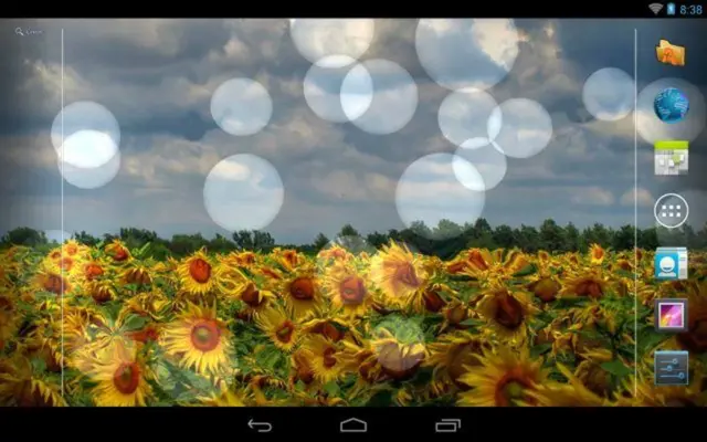 Flowers Reflection Free android App screenshot 7