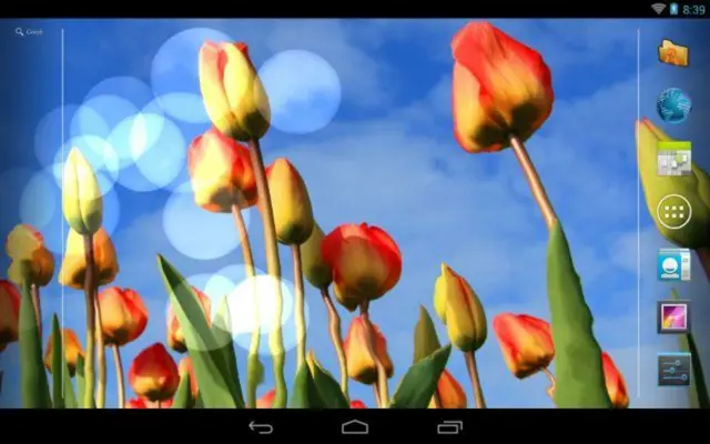 Flowers Reflection Free android App screenshot 8